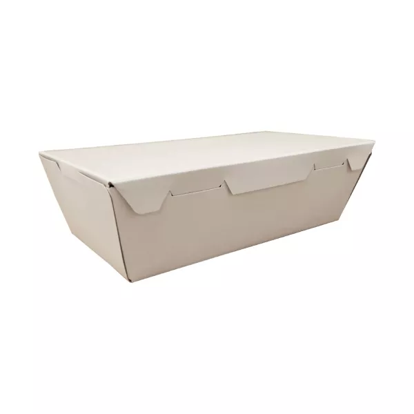 ESTUCHE BISAGRA CART 103 (16*11*5) C/U