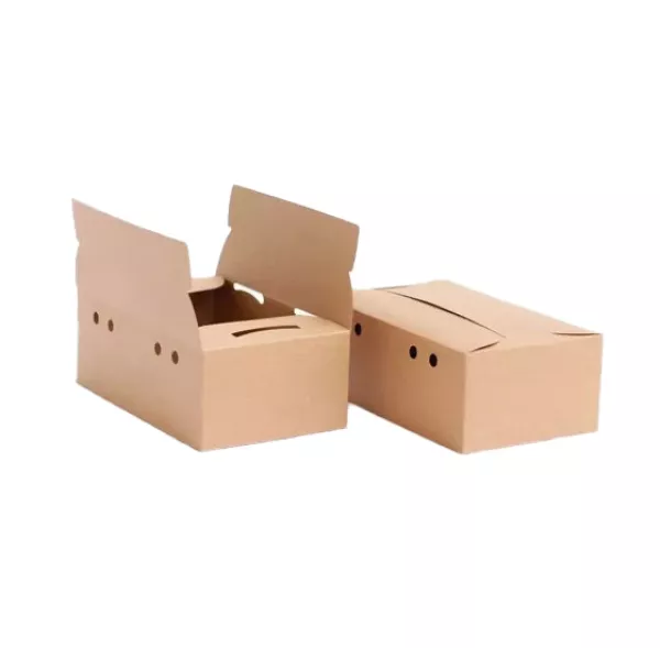CAJA DELIVERY BIO *2 COMBOS* 25X20,5X7,5