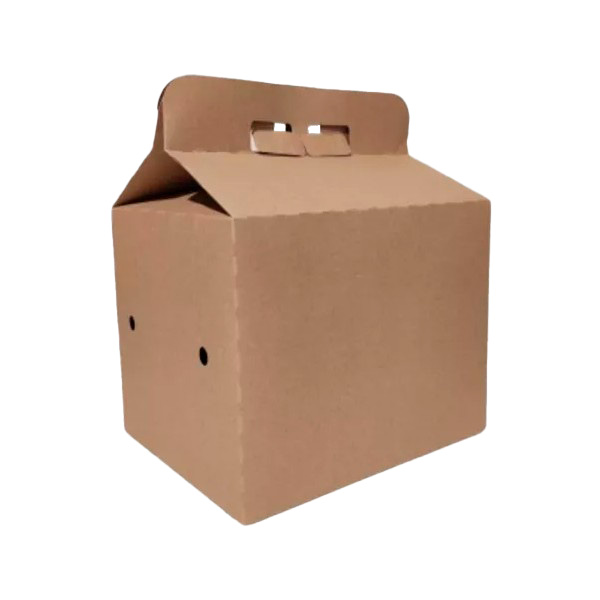 CAJA DELIVERY BIO *FAMILY BOX* 24,5X19X19 C/U