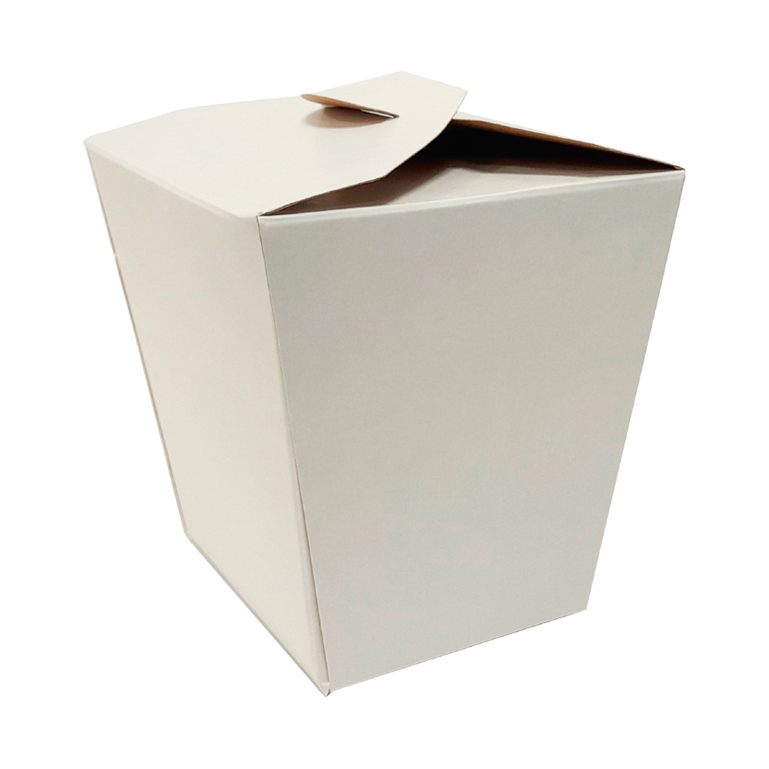 ESTUCHE WOK CARTULINA C/U
