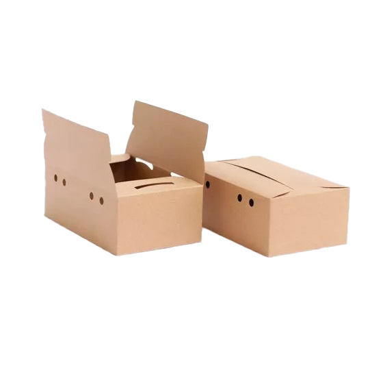 CAJA DELIVERY BIO *2 COMBOS* 25X20,5X7,5